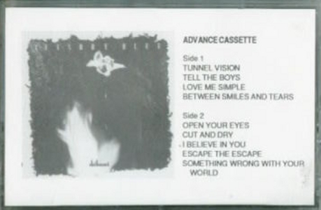 (Advance cassette cover)