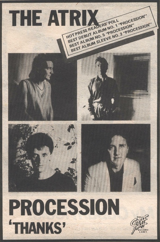 1981 Hot Press poll results
